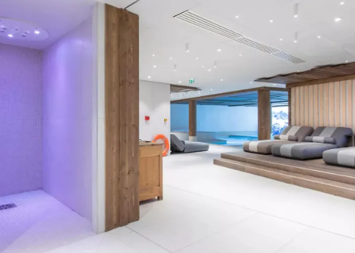 Apartment Prestige Au Pied Des Pistes Avec Parking Et Espace Bien-etre - Fr-1-181-2846 *